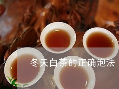 冬天白茶的正确泡法/2023121795249