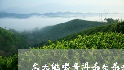 冬天能喝普洱茶生茶吗/2023062476048