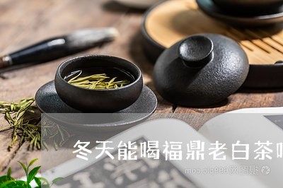 冬天能喝福鼎老白茶吗/2023120878281