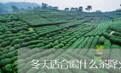 冬天适合喝什么茶降火/2023071457282