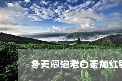 冬天闷泡老白茶加红枣可以喝吗/2023111495138