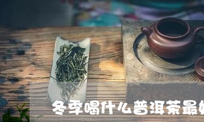 冬季喝什么普洱茶最好/2023062483606