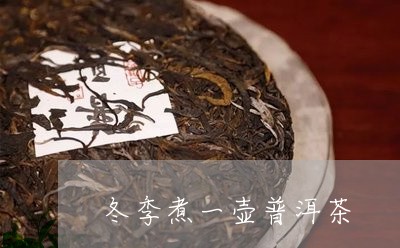 冬季煮一壶普洱茶/2023101603937