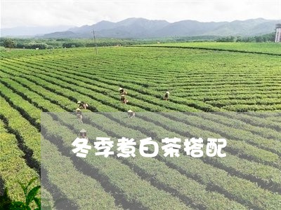 冬季煮白茶搭配/2023063008178