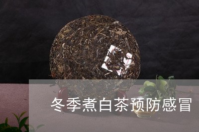 冬季煮白茶预防感冒/2023121799693