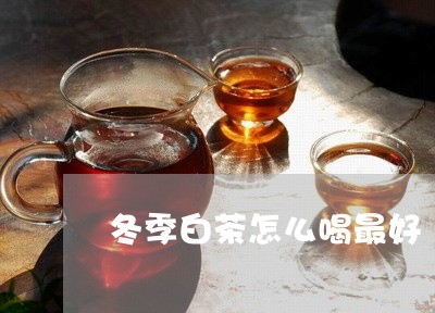 冬季白茶怎么喝最好/2023071584138