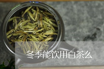 冬季能饮用白茶么/2023061586250