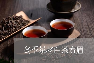 冬季茶老白茶寿眉/2023090818360