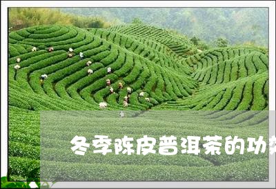 冬季陈皮普洱茶的功效/2023062558150