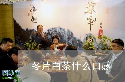 冬片白茶什么口感/2023061532518