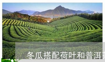 冬瓜搭配荷叶和普洱茶/2023100681694