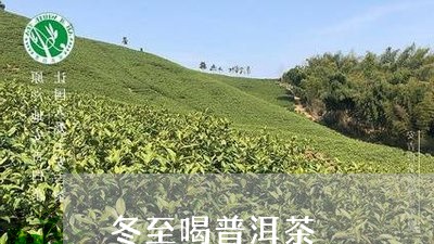 冬至喝普洱茶/2023042725206