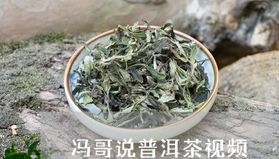 冯哥说普洱茶视频/2023112660584