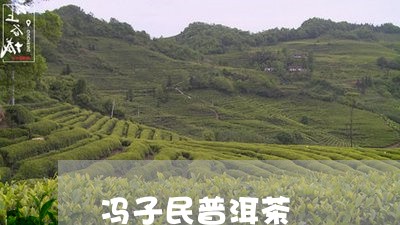 冯子民普洱茶/2023042773797