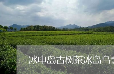 冰中岛古树茶冰岛乌金/2023092340714