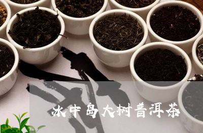 冰中岛大树普洱茶/2023082808480