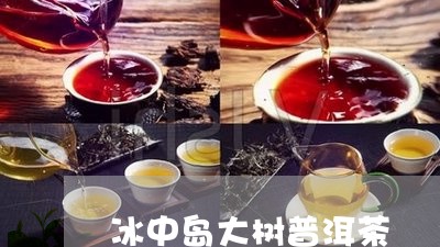 冰中岛大树普洱茶/2023110569584