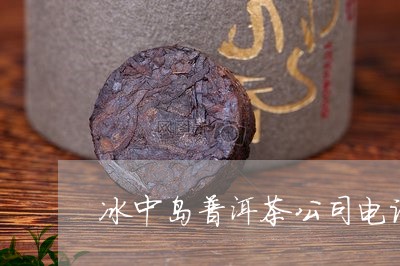 冰中岛普洱茶公司电话/2023080147372