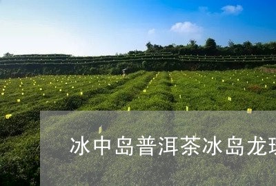 冰中岛普洱茶冰岛龙珠/2023120666174