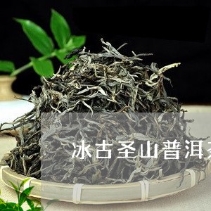 冰古圣山普洱茶生茶/2023120591604