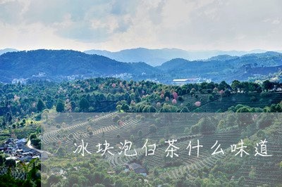 冰块泡白茶什么味道/2023071591713