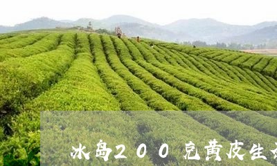 冰岛200克黄皮生茶/2023092353026