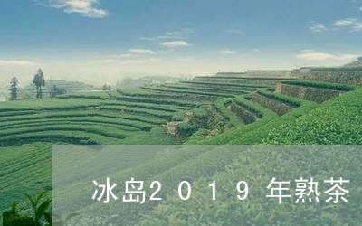 冰岛2019年熟茶/2023042697079