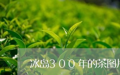 冰岛300年的茶图片/2023061290472