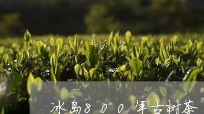 冰岛800年古树茶/2023042660505