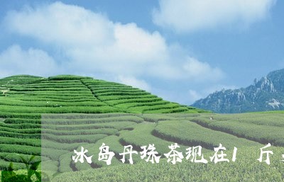 冰岛丹珠茶现在1斤多少钱/2023051220582