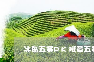 冰岛五寨PK班章五寨/2023071385925