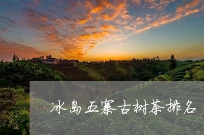 冰岛五寨古树茶排名/2023042603824