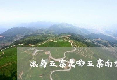 冰岛五寨是哪五寨南糯山普洱茶/2023053022514