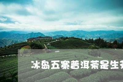 冰岛五寨普洱茶是生茶还是熟茶/2023082855948