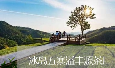 冰岛五寨溢丰源茶厂/2023042071815