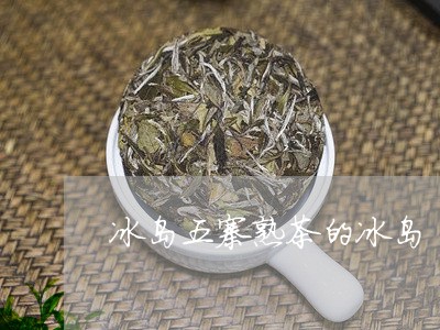 冰岛五寨熟茶的冰岛/2023042674057