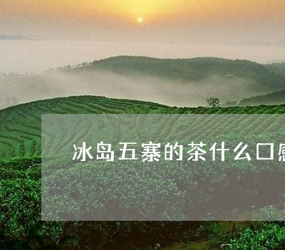 冰岛五寨的茶什么口感/2023092370504