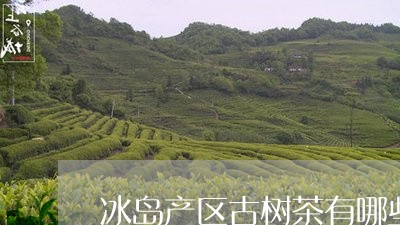 冰岛产区古树茶有哪些/2023061253806