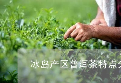 冰岛产区普洱茶特点分析/2023081705060