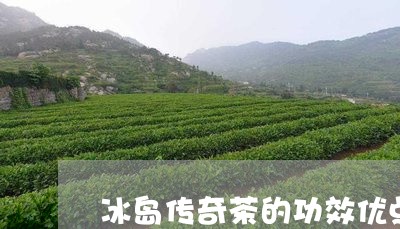 冰岛传奇茶的功效优点/2023061166048