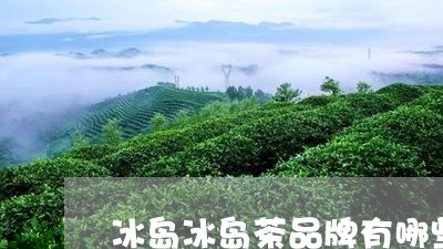 冰岛冰岛茶品牌有哪些/2023061285250