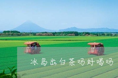 冰岛出白茶吗好喝吗/2023111781492