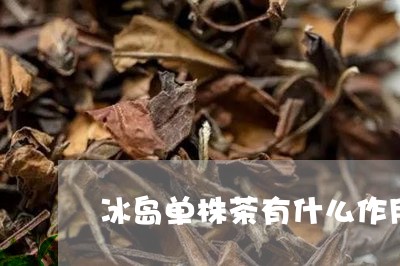 冰岛单株茶有什么作用/2023092395937