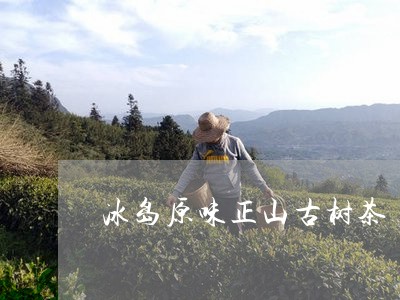 冰岛原味正山古树茶/2023042621705