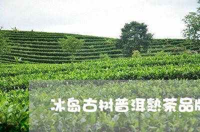 冰岛古树普洱熟茶品牌/2023092596849