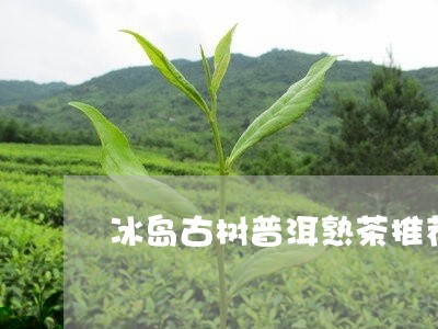 冰岛古树普洱熟茶推荐/2023092569462