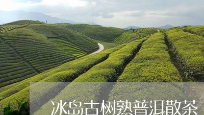 冰岛古树熟普洱散茶/2023042959581