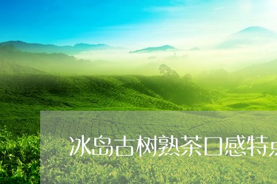 冰岛古树熟茶口感特点/2023092318403