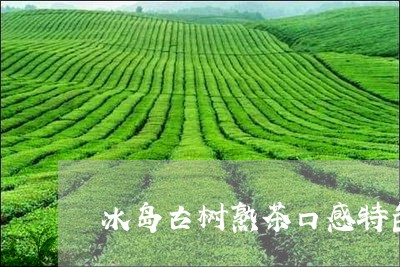 冰岛古树熟茶口感特色/2023061183814