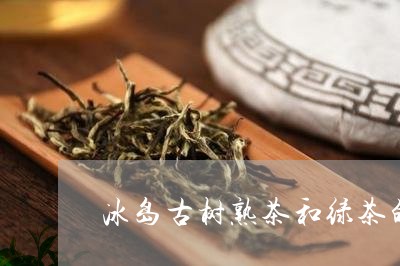 冰岛古树熟茶和绿茶的区别/2023051278490